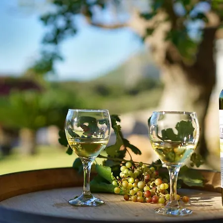 - 3501-24 Mallorca Dom wakacyjny