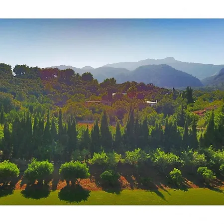 - 3501-24 Mallorca Dom wakacyjny *