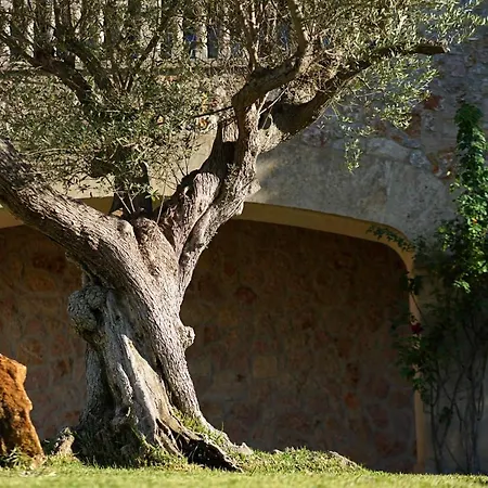 別荘 - 3501-24 Mallorca ポレンサ